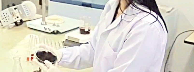 Pesquisadoras desenvolvem lanchinho à base de hibisco com menos calorias
